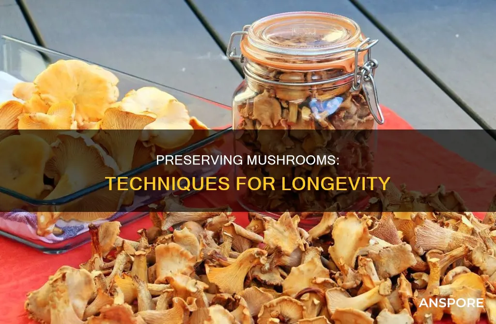 how do you preserve mushrooms