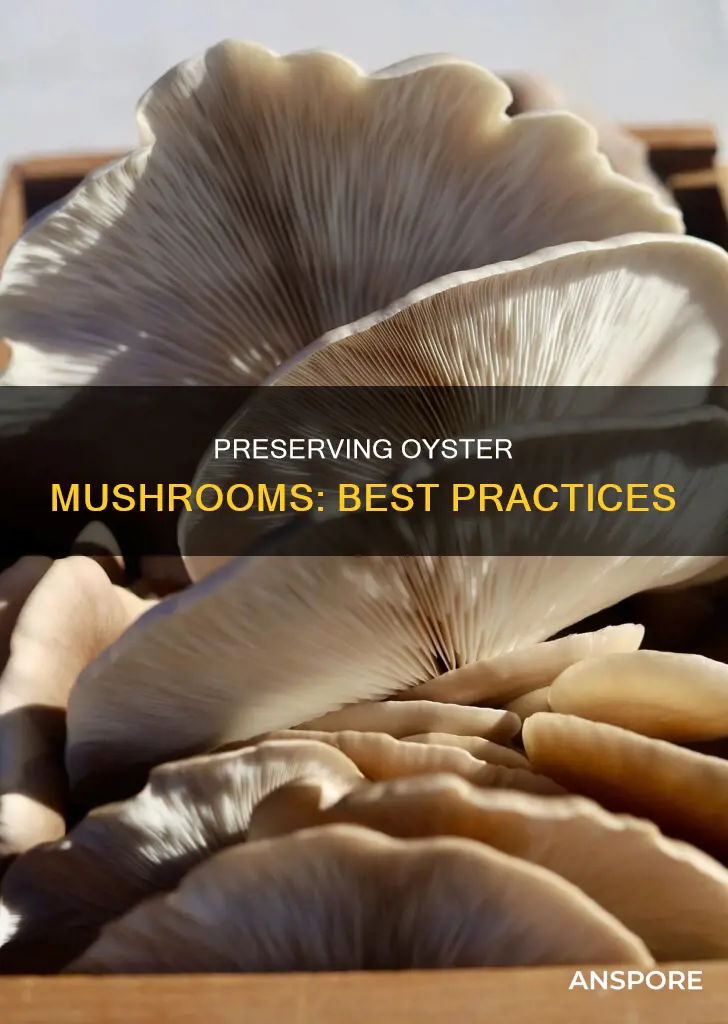 how do you preserve oyster mushrooms