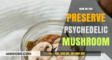 Preserving Psychedelic Mushrooms: Best Practices