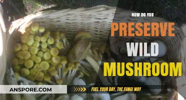 Preserving Wild Mushrooms: Essential Tips for Freshness and Flavor