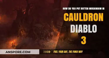 Cauldron Conundrum: Rotten Mushroom Magic in Diablo 3
