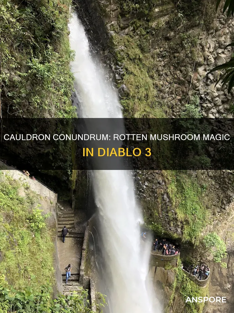 how do you put rotten mushroom in cauldron diablo 3