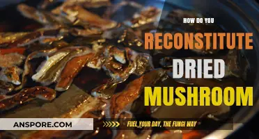The Magic of Reconstituting Dried Mushrooms: A Guide