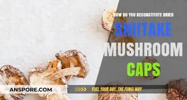 Reconstituting Dried Shiitake Mushroom Caps: A Simple Guide