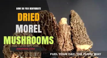 Reviving Morel Mushrooms: Simple Steps to Rehydrate Dried Delicacies
