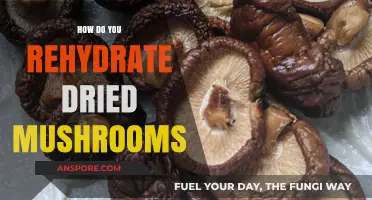 Reviving Dried Mushrooms: Simple Steps to Perfectly Rehydrate Them