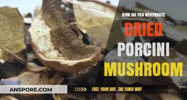 Rehydrating Dried Porcini Mushrooms: Quick and Easy Guide