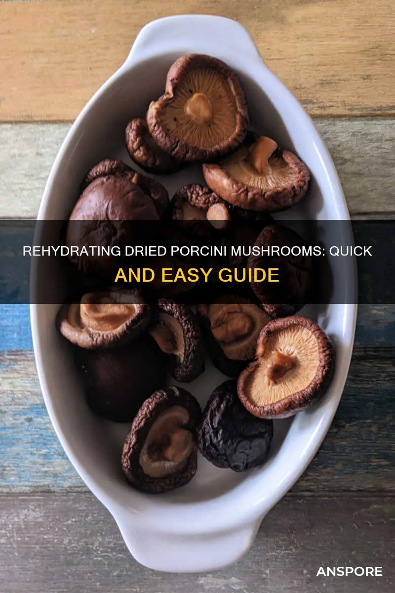 how do you rehydrate dried porcini mushrooms