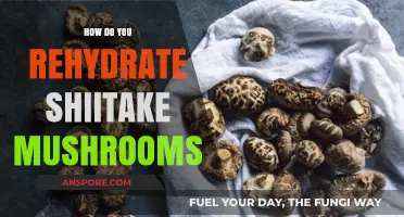 Rehydrating Shiitake Mushrooms: Quick and Easy Methods
