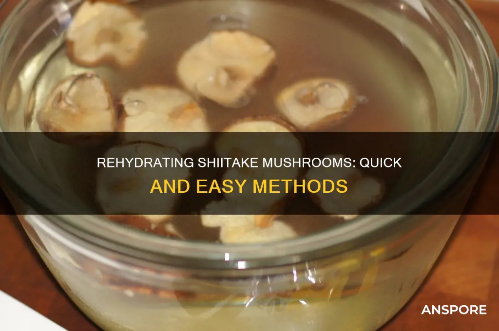 how do you rehydrate shiitake mushrooms