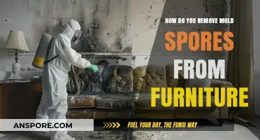 Effective Ways to Eliminate Mold Spores from Your Furniture Safely