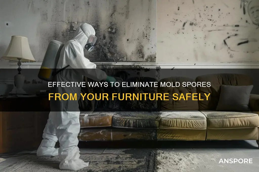 how do you remove mold spores from furniture
