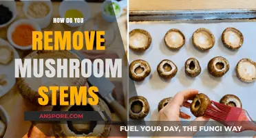 Easy Tricks to Remove Mushroom Stems Like a Pro