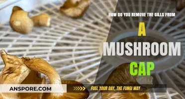 Easy Steps to Remove Gills from Mushroom Caps