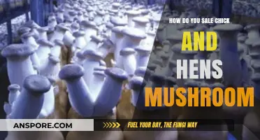 Selling Chick and Hens: A Guide to Mushroom Profits