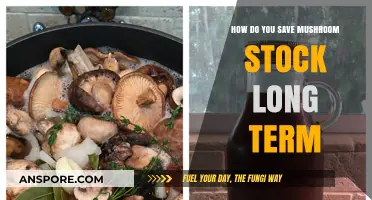 Preserving Mushroom Stock: Long-Term Storage Tips for Rich, Umami Flavor