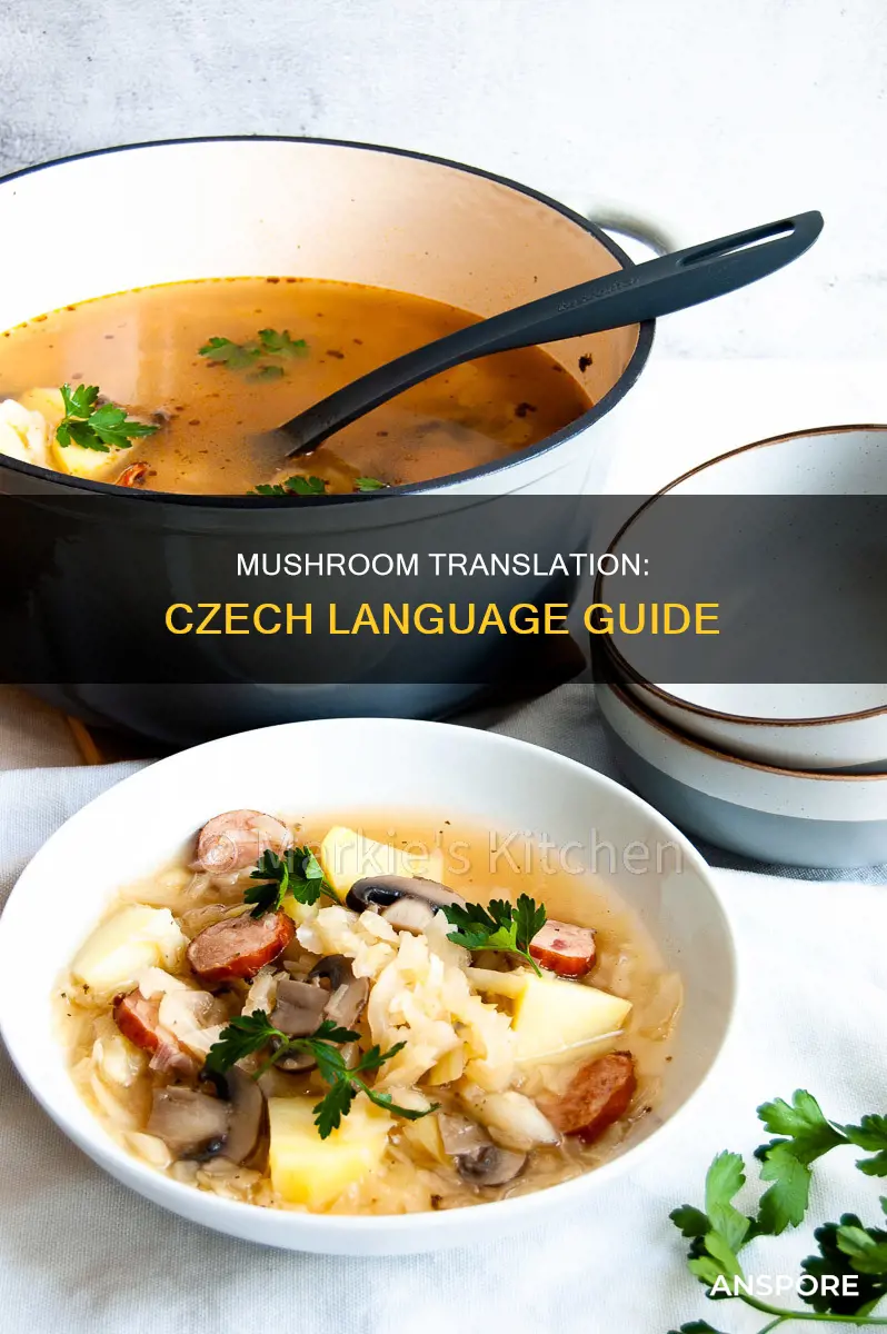 how do you say mushroom in czech