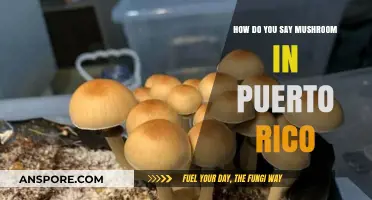 Mushroom Lingo: Puerto Rico's Unique Way of Saying Mushroom