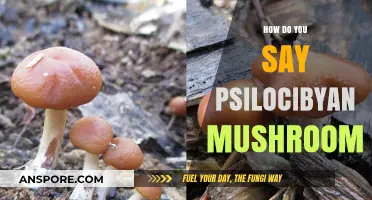 Pronouncing the Magic Mushroom's Name