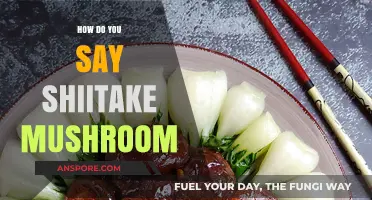 Shiitake Mushroom: How's It Pronounced?