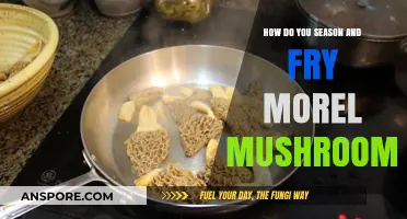 Perfectly Seasoned & Crispy: Mastering the Art of Frying Morel Mushrooms