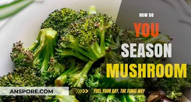 The Magic of Mushroom Seasoning: A Guide