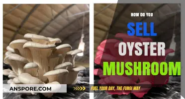 Cultivating and Selling Oyster Mushrooms: A Beginner's Guide