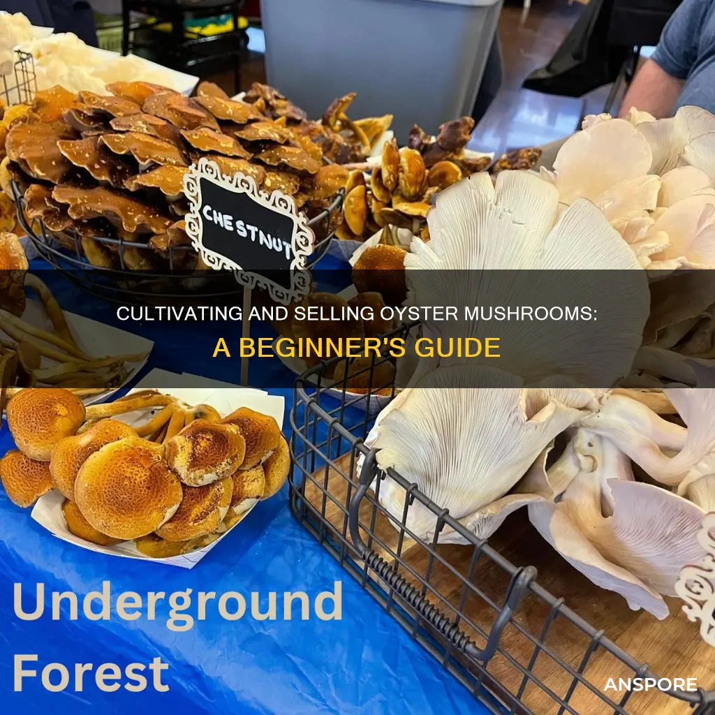 how do you sell oyster mushrooms