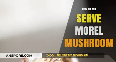 Delicious Ways to Serve Morel Mushrooms: Creative Culinary Ideas