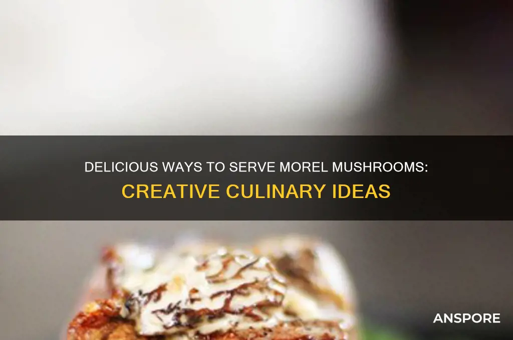 how do you serve morel mushrooms