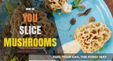 The Perfect Mushroom Slice: Techniques and Tips