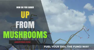 Tripping on Mushrooms? Here's How to Sober Up