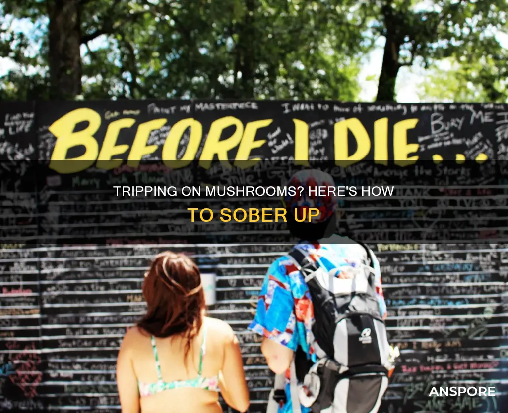 how do you sober up from mushrooms