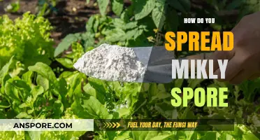 Effective Techniques for Spreading Milky Spore in Your Lawn and Garden