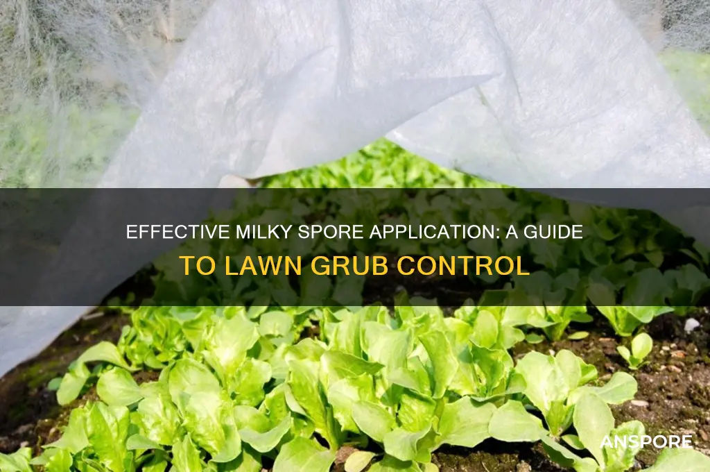 how do you spread milky spore