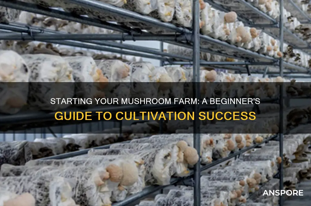 how do you start a mushroom farm