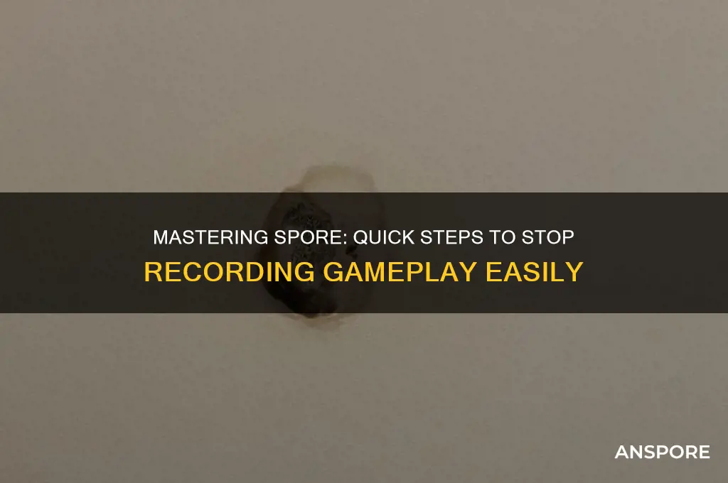 how do you stop recording on spore