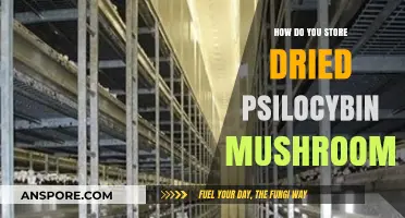 The Best Way to Store Dried Psilocybin Mushrooms