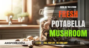 Storing Fresh Portabella Mushrooms: Best Practices