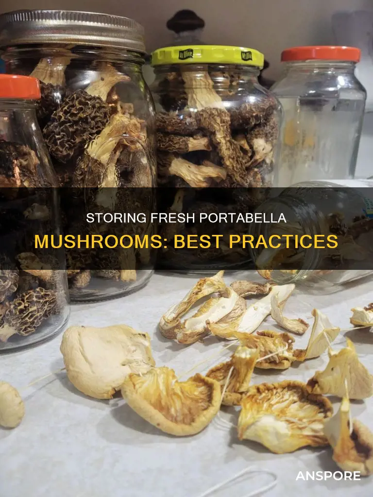 how do you store fresh potabella mushrooms
