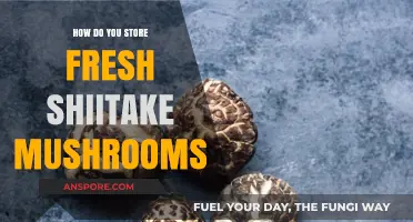 The Best Way to Store Fresh Shiitake Mushrooms