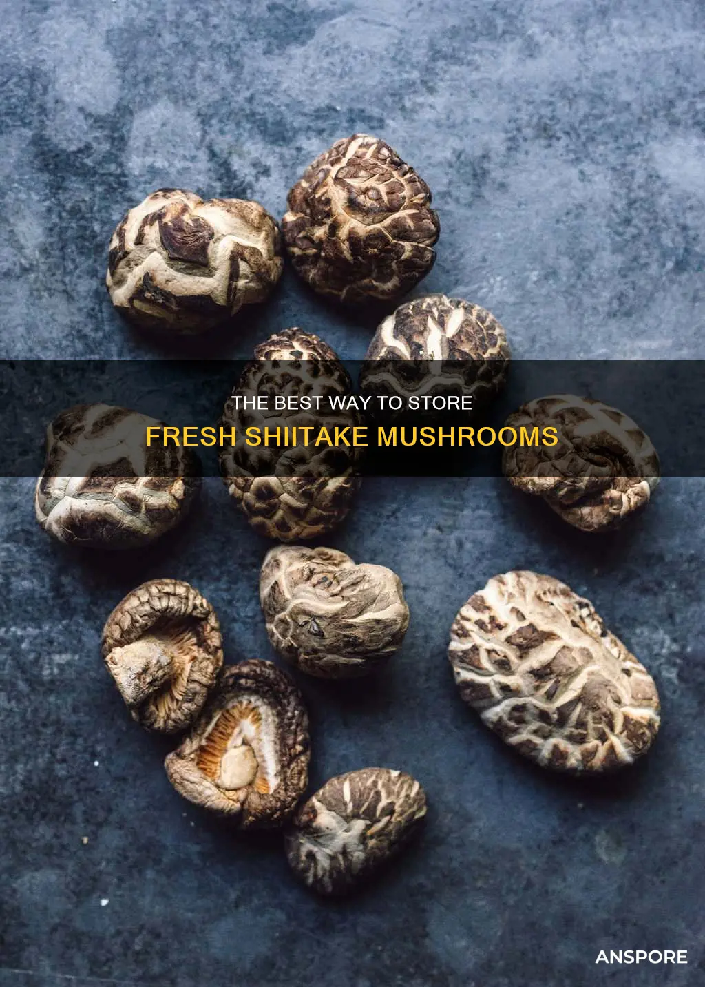 how do you store fresh shiitake mushrooms