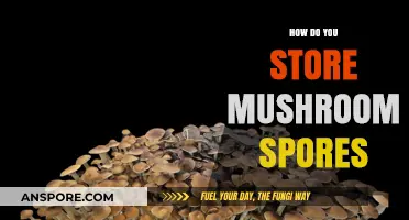 The Ultimate Guide to Storing Mushroom Spores