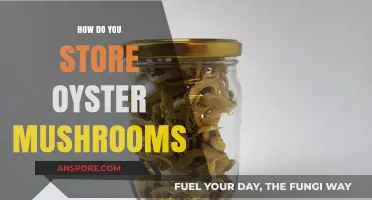 Proper Oyster Mushroom Storage Tips for Freshness and Longevity