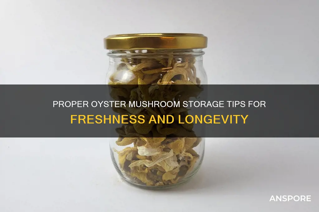 how do you store oyster mushrooms