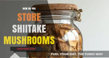 Proper Shiitake Mushroom Storage Tips for Freshness and Flavor