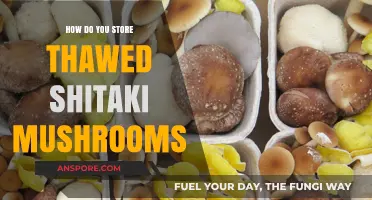 The Best Way to Store Thawed Shitaki Mushrooms