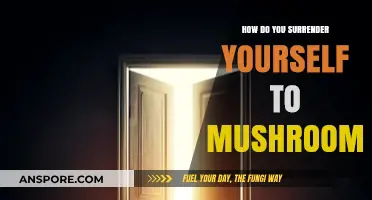 Mushroom Surrender: A Guide to Letting Go and Embracing the Experience
