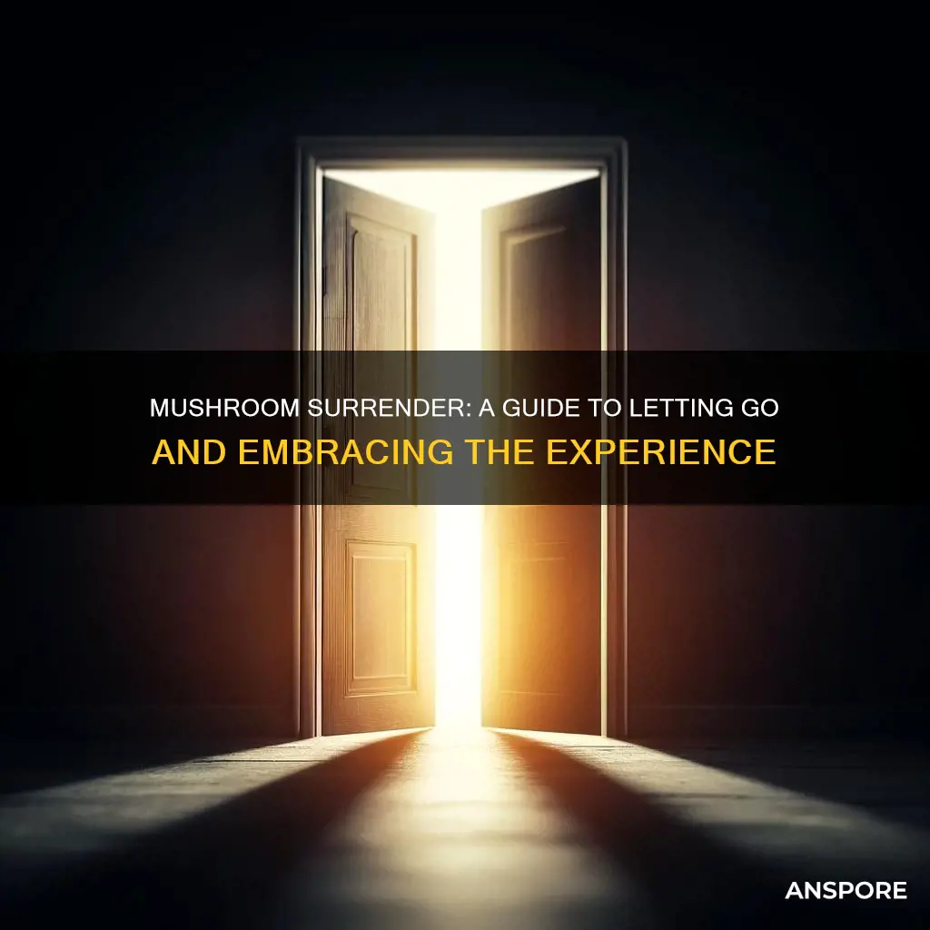 how do you surrender yourself to mushrooms