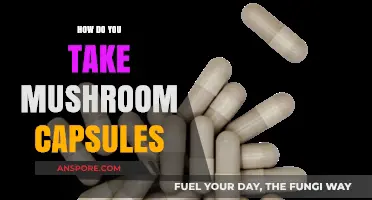 Mushroom Capsules: Easy, Effective Way to Consume